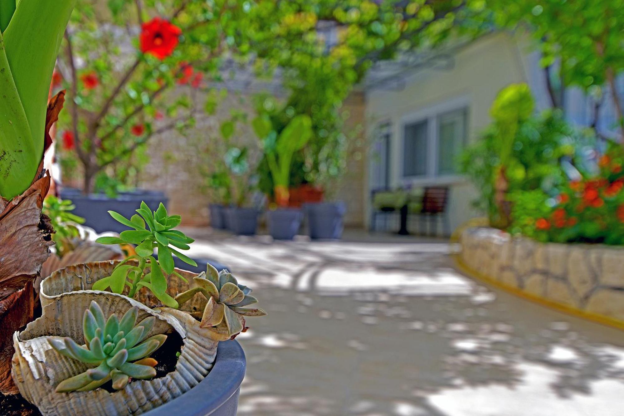 Apartments Micic Hvar Town Bagian luar foto